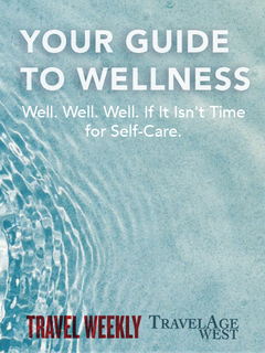 Guide to Wellness